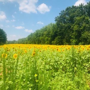 Meet your Posher, Lesly